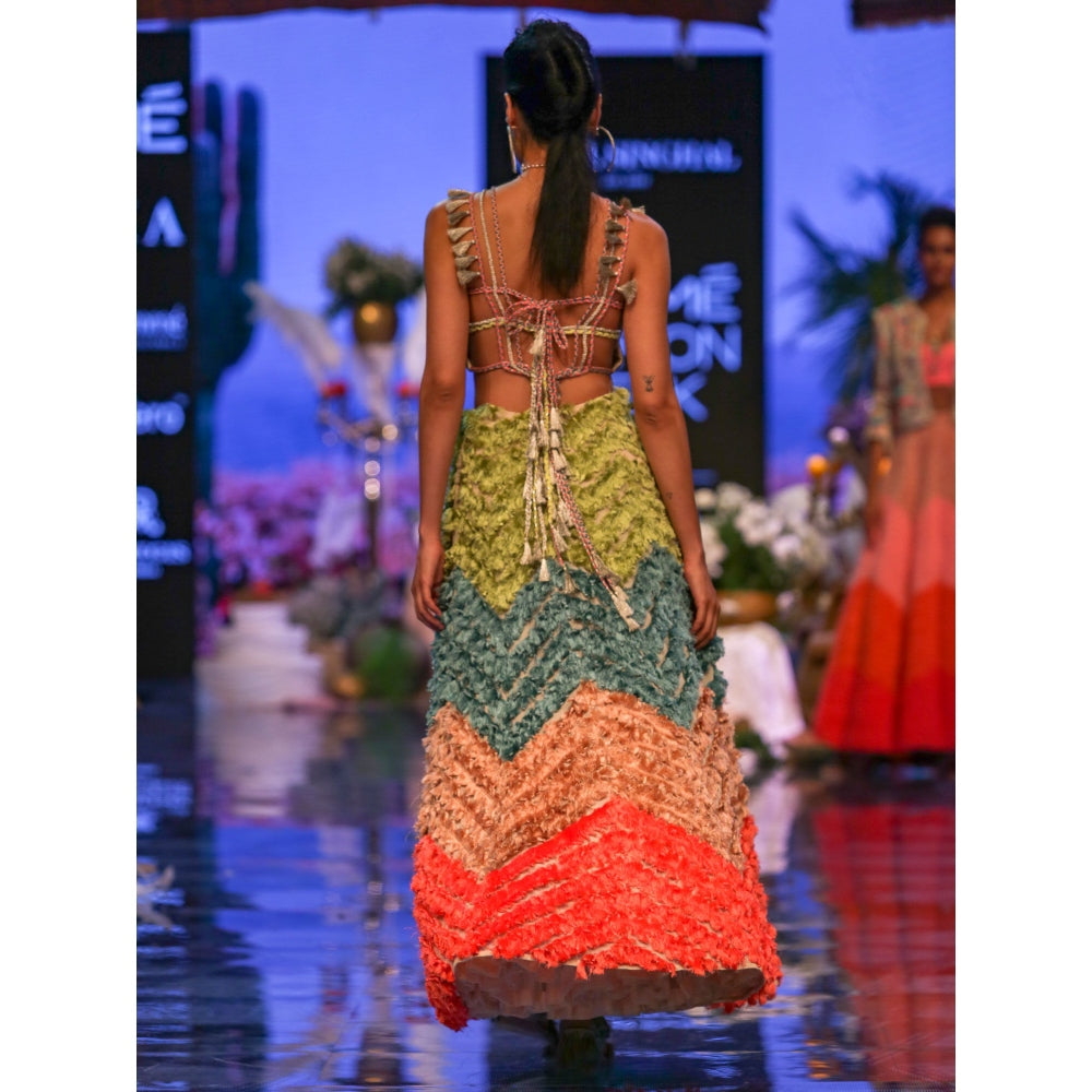 Payal Singhal Pia Tasseled Skirt With Crop Top (Set of 2)