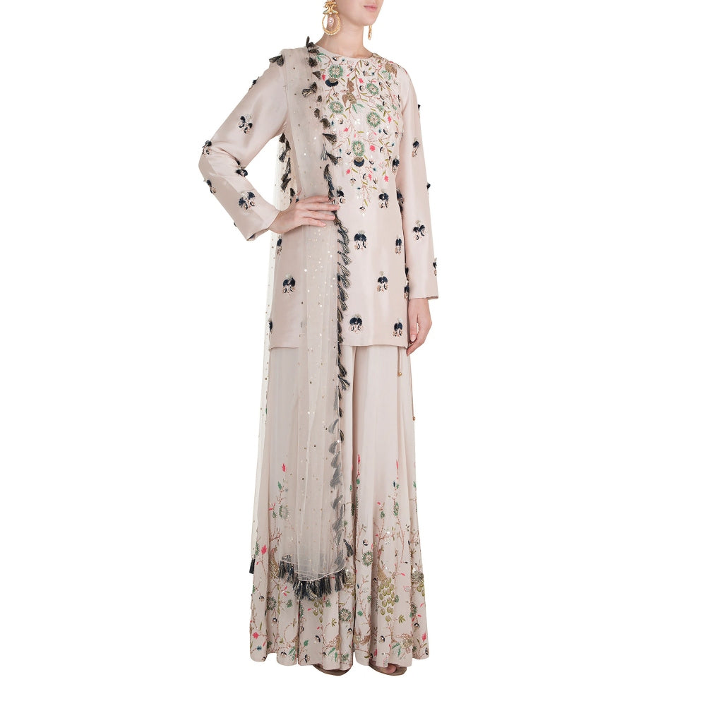 Payal Singhal Izel High-Low Kurta with Sharara Pants (Set of 2)
