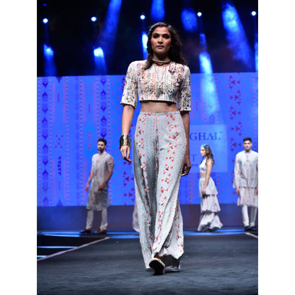 Payal Singhal Ayatal Printed Palazzo Pants With Crop Top (Set of 2)