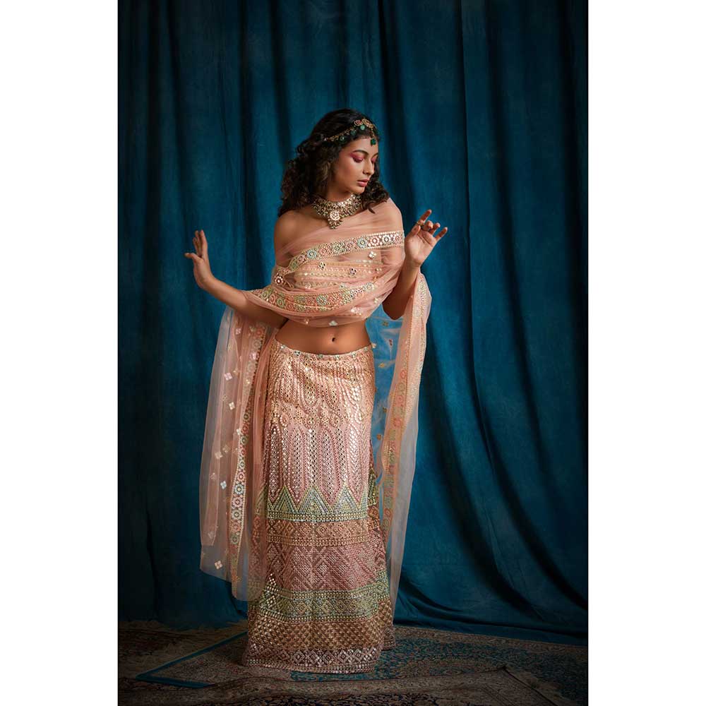 RAISHAA Pink Bridesmaid Lehenga (Set of 2)