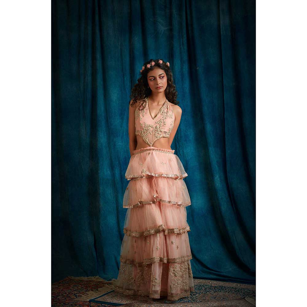 RAISHAA Pink Venus Lehenga Dress