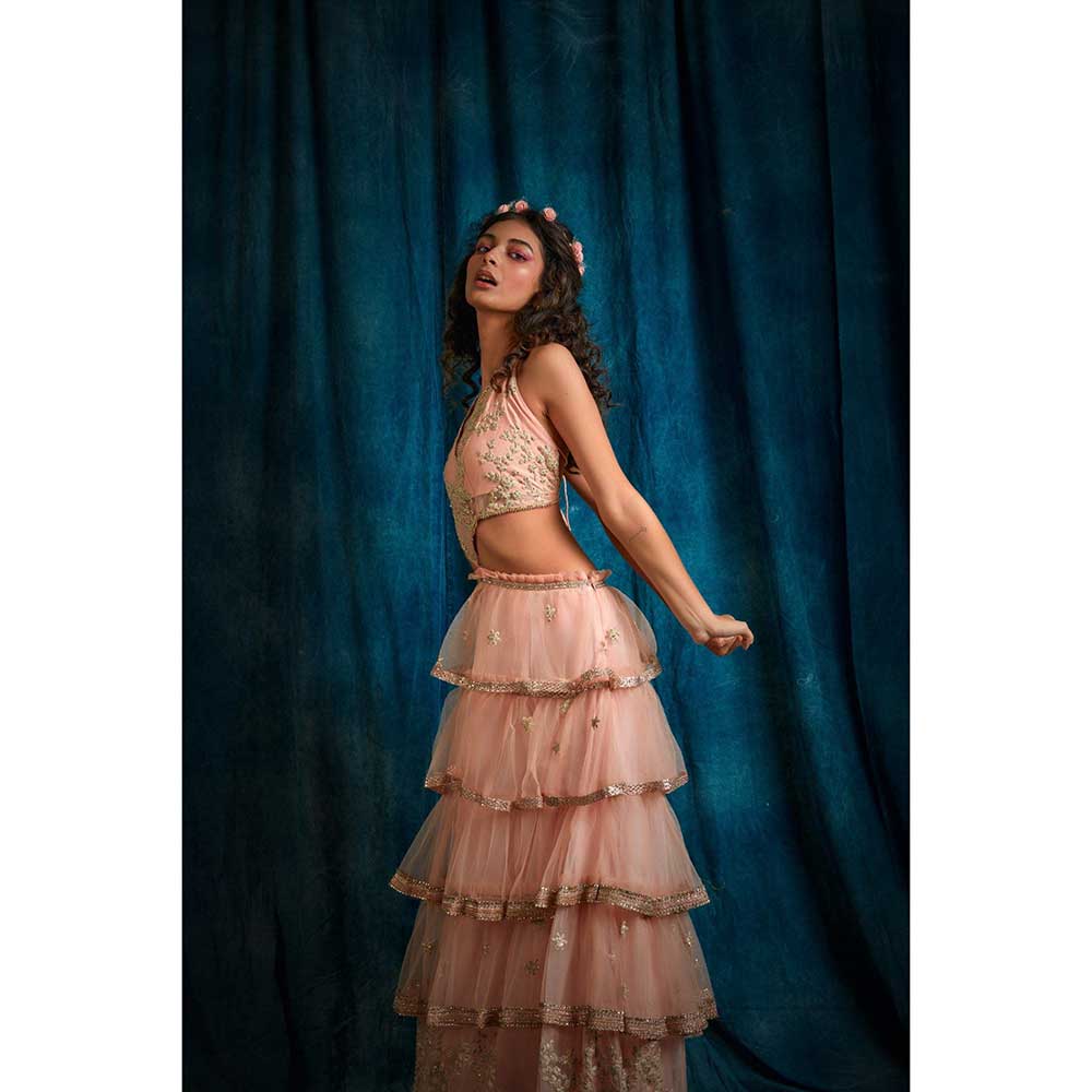 RAISHAA Pink Venus Lehenga Dress