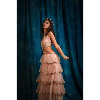 RAISHAA Pink Venus Lehenga Dress