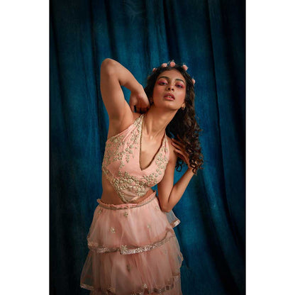 RAISHAA Pink Venus Lehenga Dress