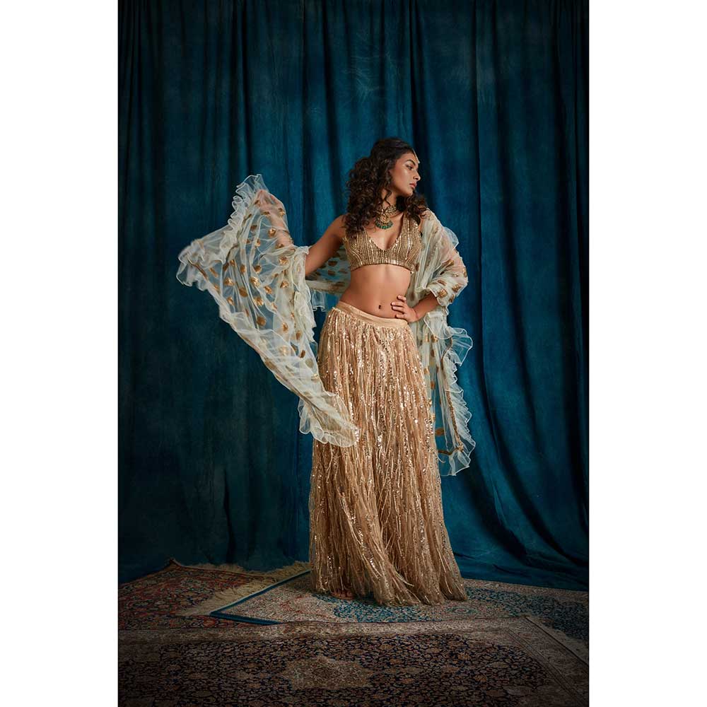 RAISHAA Sunehra Sequin Lehenga (Set of 3)