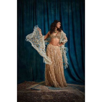 RAISHAA Sunehra Sequin Lehenga (Set of 3)