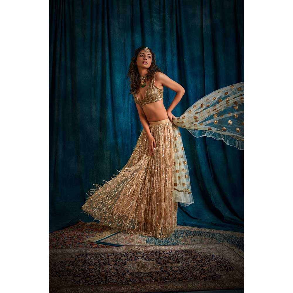 RAISHAA Sunehra Sequin Lehenga (Set of 3)