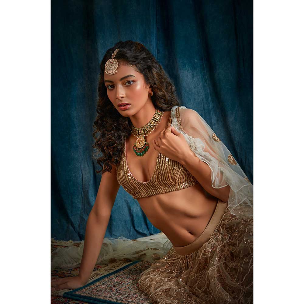 RAISHAA Sunehra Sequin Lehenga (Set of 3)