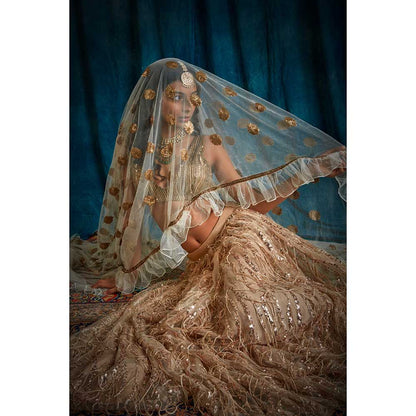 RAISHAA Sunehra Sequin Lehenga (Set of 3)