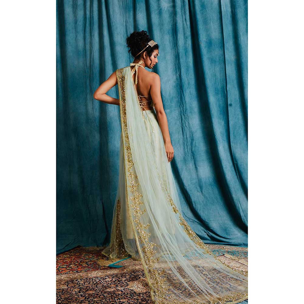 RAISHAA Green Iris Draped Saree with Unstitched Blouse