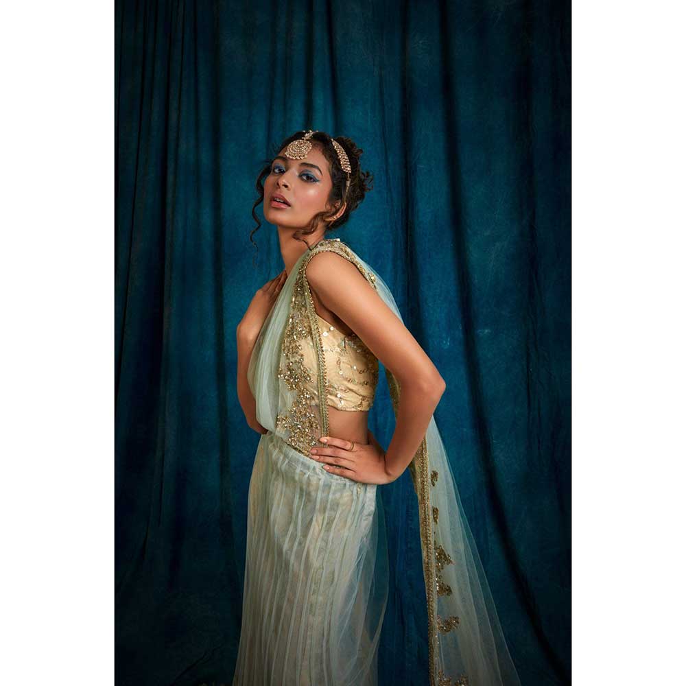 RAISHAA Green Iris Draped Saree with Unstitched Blouse