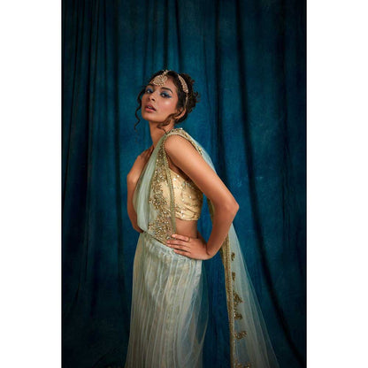 RAISHAA Green Iris Draped Saree with Unstitched Blouse