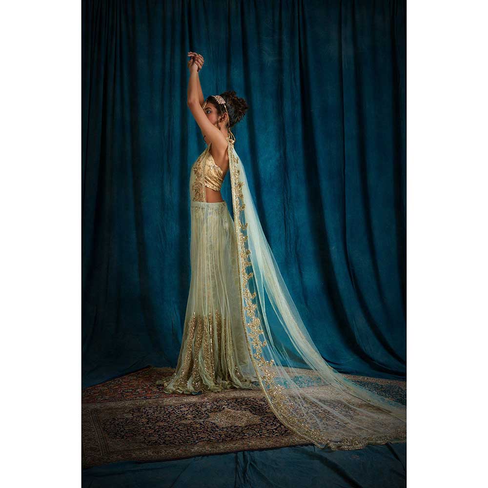 RAISHAA Green Iris Draped Saree with Unstitched Blouse