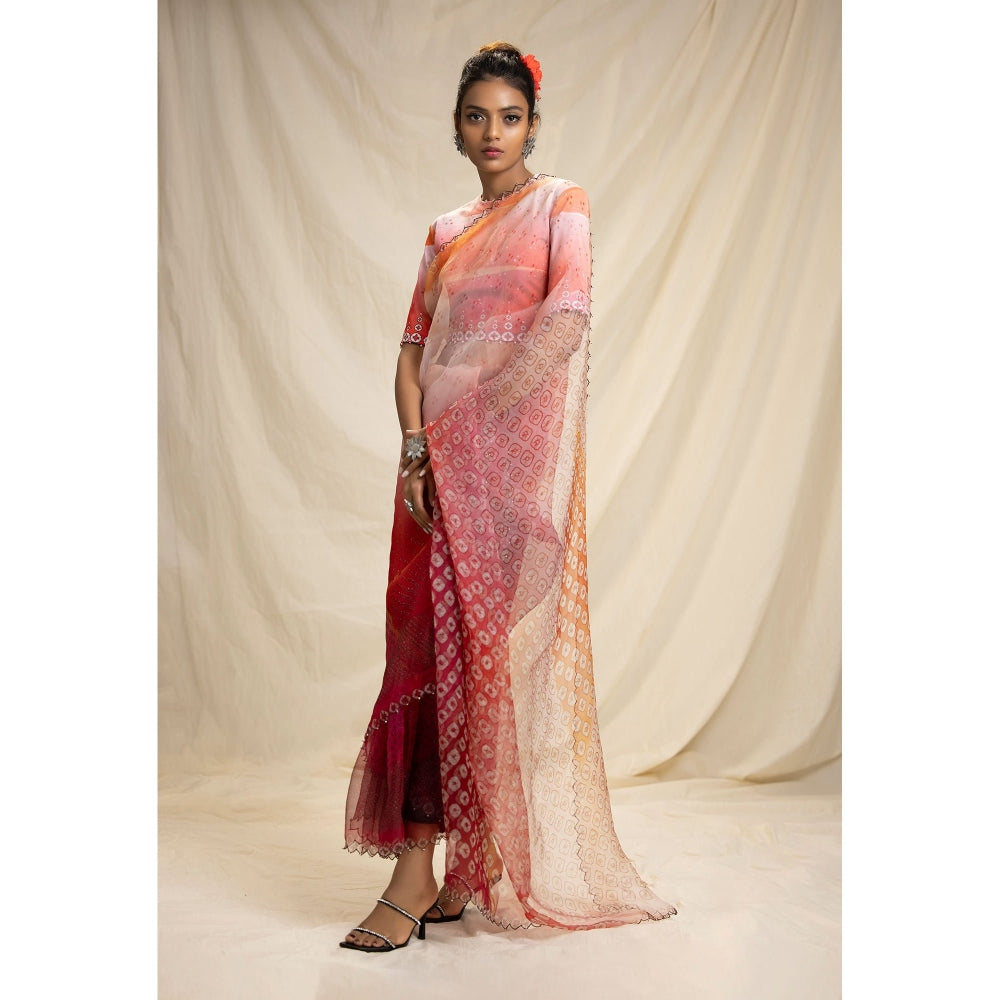 Rajdeep Ranawat Dibbia Lata Pink Saree With Stitched Blouse (Set of 2)