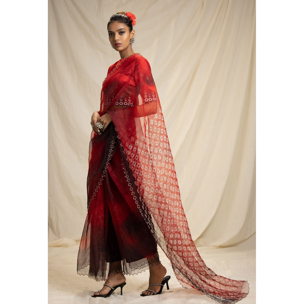 Rajdeep Ranawat Dibbia Lata Red Saree With Stitched Blouse (Set of 2)