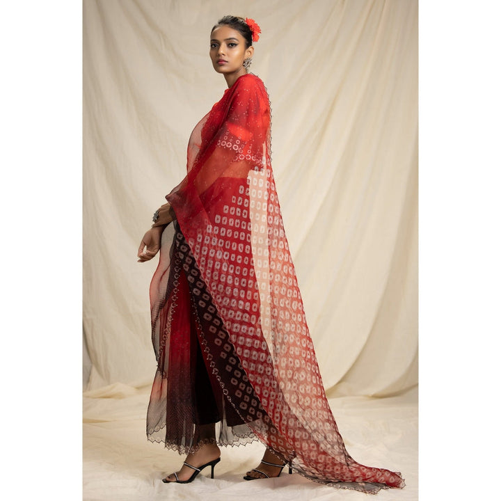Rajdeep Ranawat Dibbia Lata Red Saree With Stitched Blouse (Set of 2)