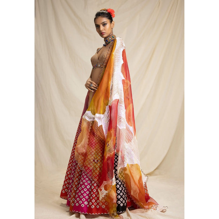 Rajdeep Ranawat Dibbia Leela Multi-Color Bralette Top And Skirt With Dupatta (Set of 3)