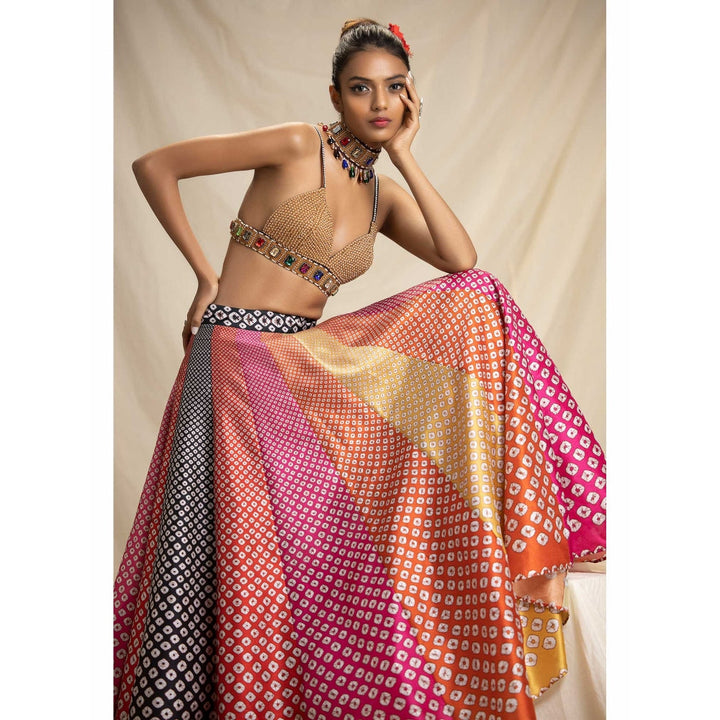 Rajdeep Ranawat Dibbia Leela Multi-Color Bralette Top And Skirt With Dupatta (Set of 3)
