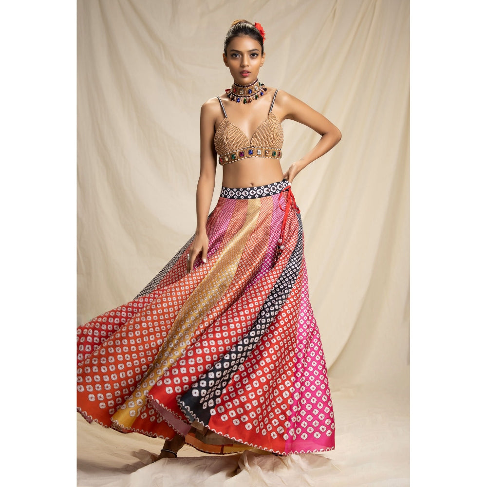 Rajdeep Ranawat Dibbia Leela Multi-Color Bralette Top And Skirt (Set of 2)