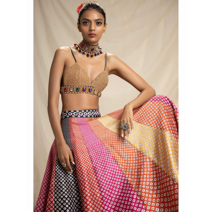 Rajdeep Ranawat Dibbia Leela Multi-Color Bralette Top And Skirt (Set of 2)