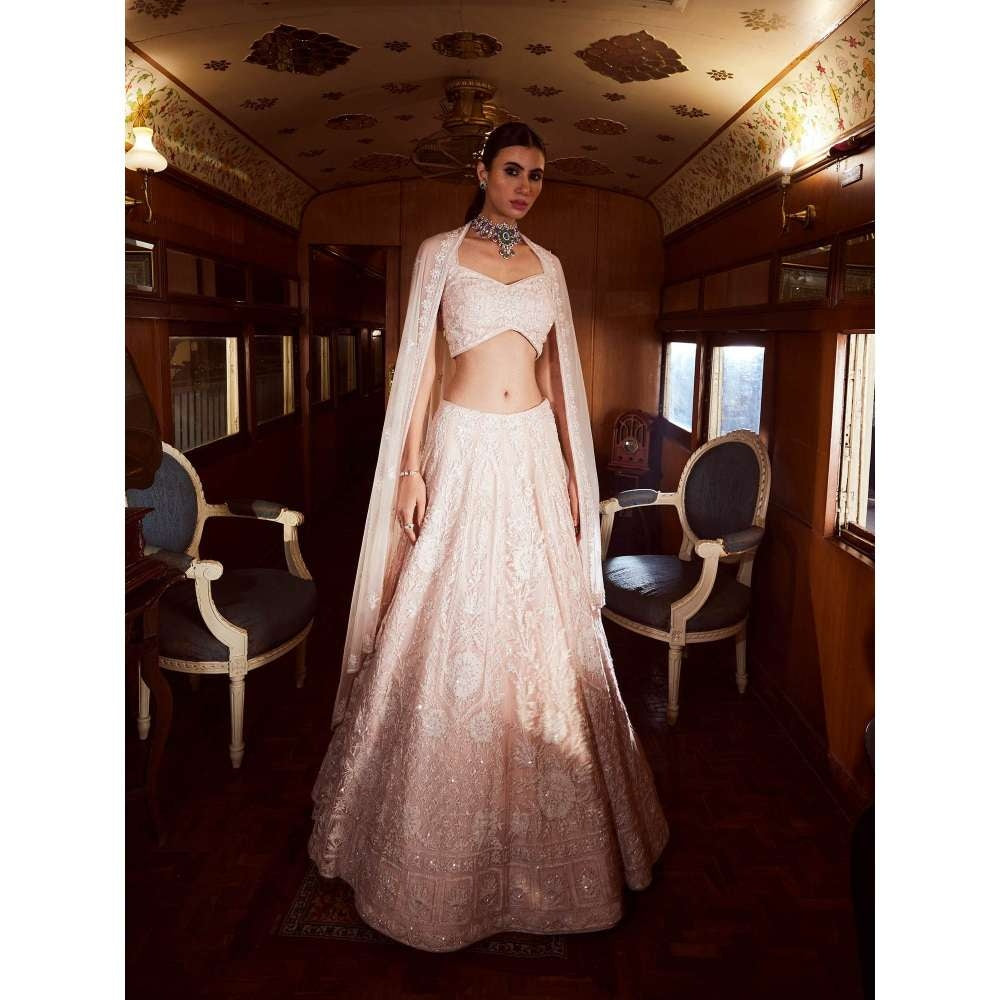 Rococo Virtue Ice Pink Lehenga with Blouse and Dupatta (Set of 3)