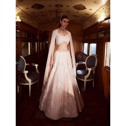 Rococo Virtue Ice Pink Lehenga with Blouse and Dupatta (Set of 3)