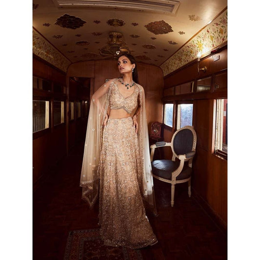 Rococo Pinnacle Beige Lehenga with Blouse and Dupatta (Set of 3)