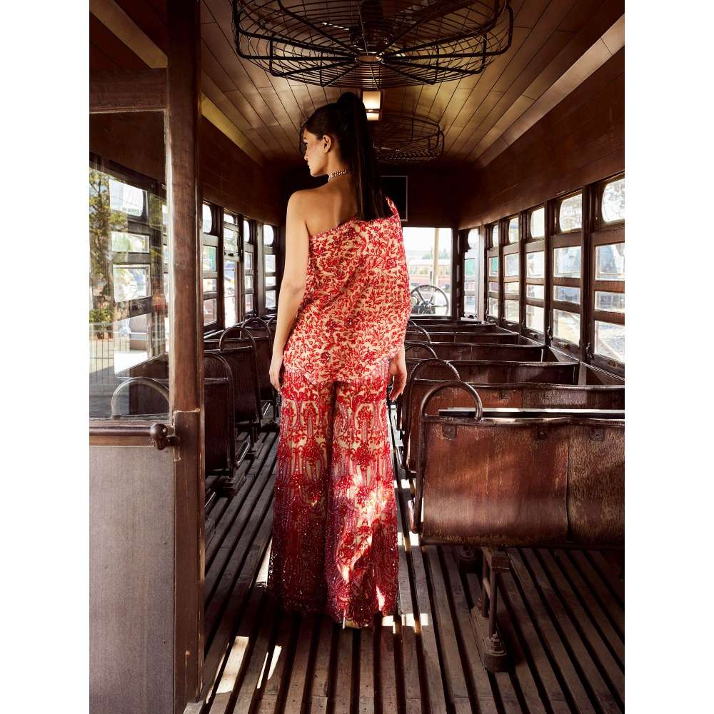 Rococo Meraki Beige Top with Sharara (Set of 2)