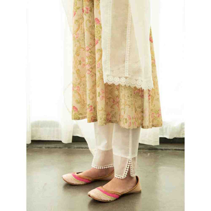 Roze Zanab Pant