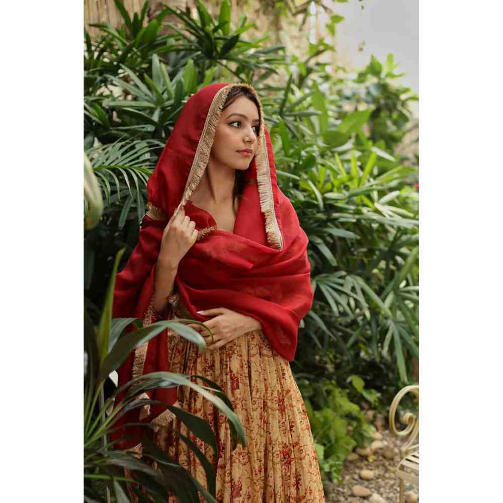 Roze Kaavya Anarkali (Set of 3)