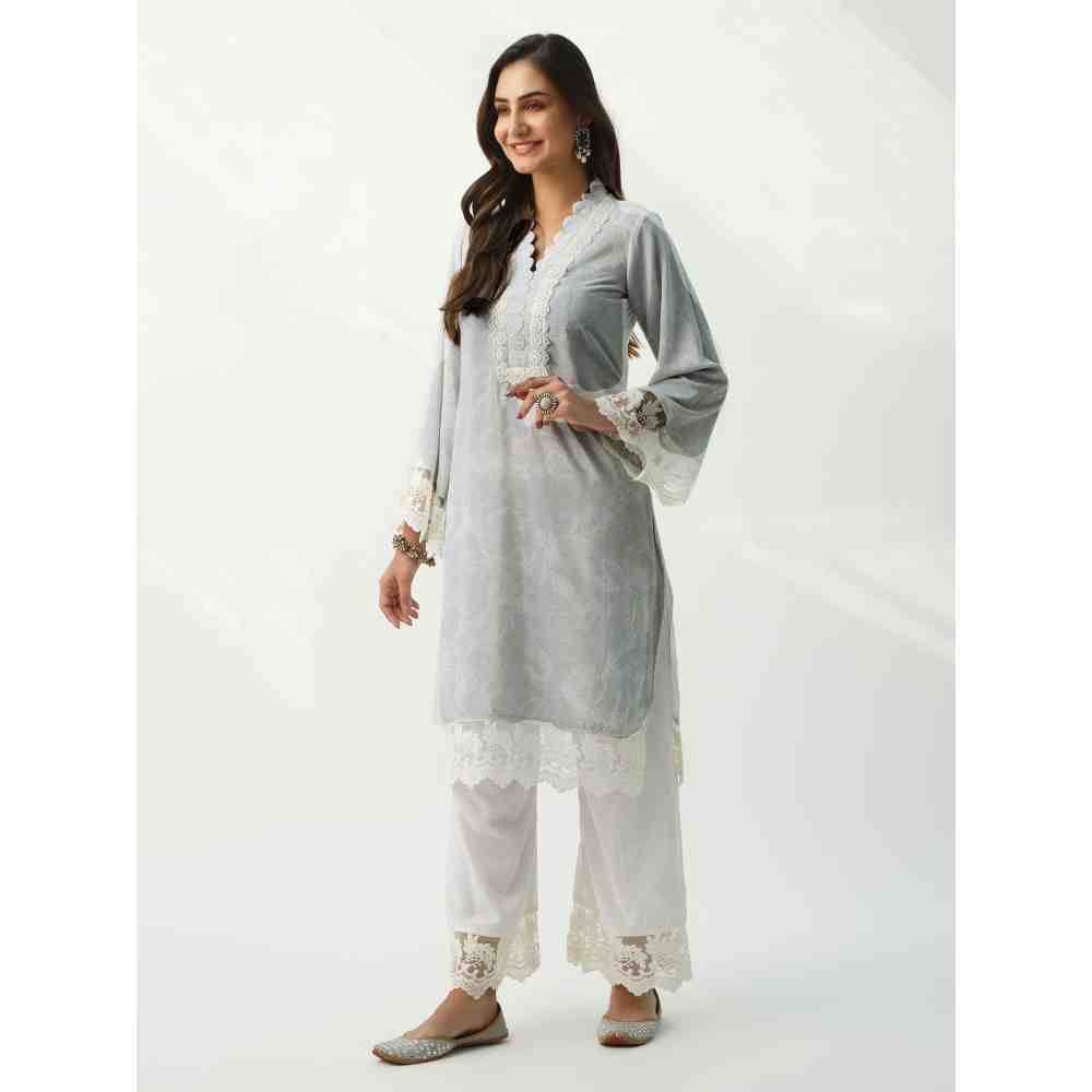 Roze Parsia Grey Velvet (Set Of 2)