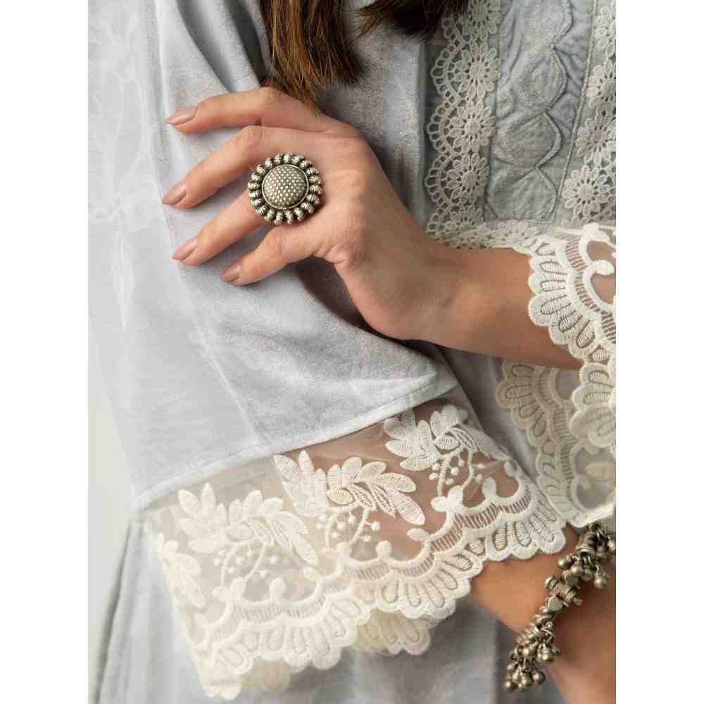 Roze Parsia Grey Velvet (Set Of 2)