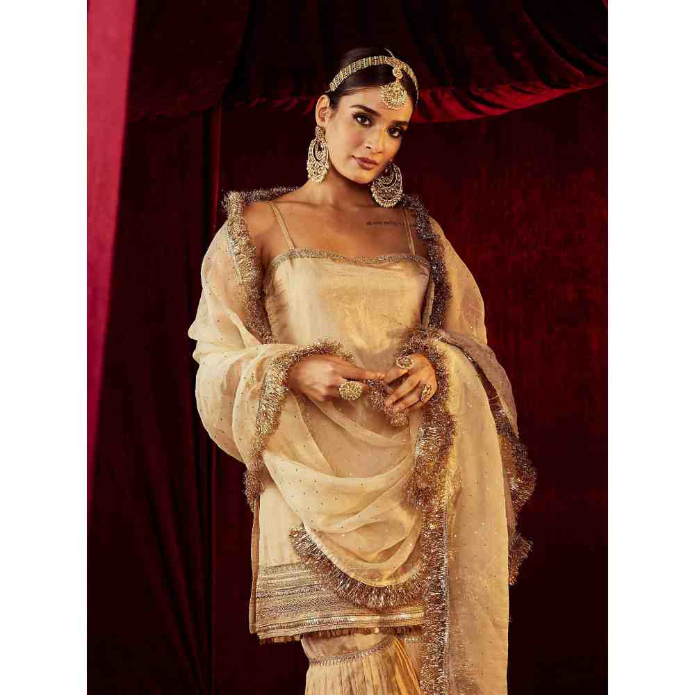 Roze Sultana Sleevless Gold Sharara (Set of 3)