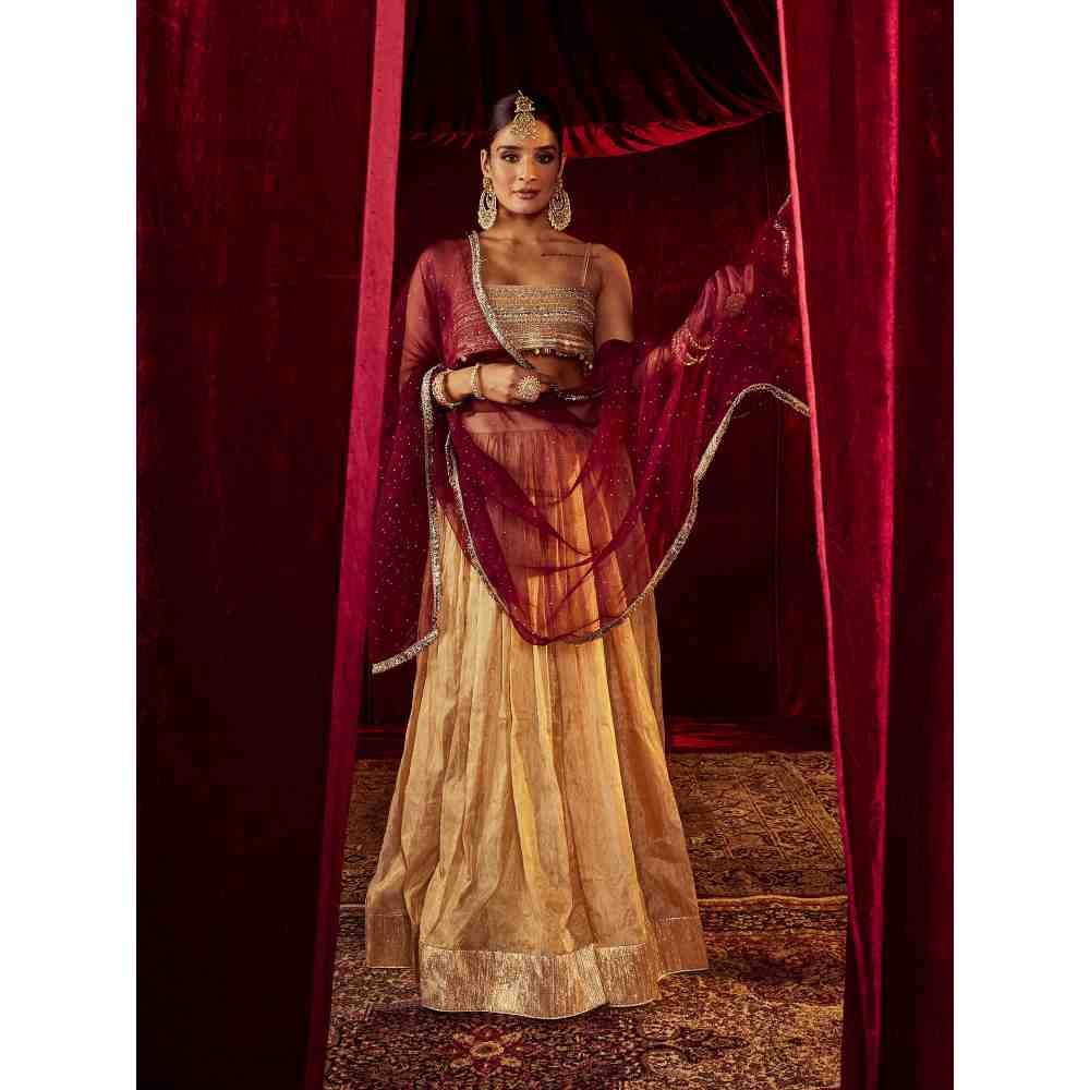 Roze Zeenat Gold Lehenga (Set of 3)