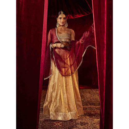 Roze Zeenat Gold Lehenga (Set of 3)