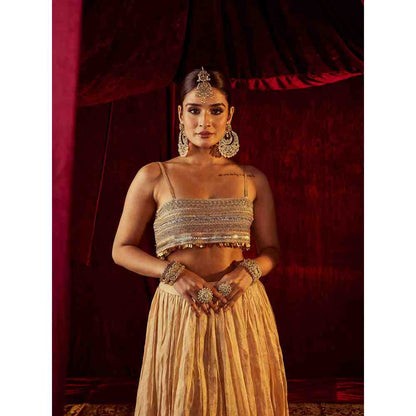 Roze Zeenat Gold Lehenga (Set of 3)