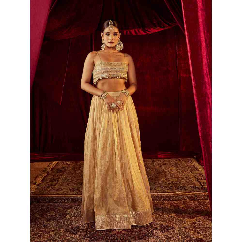 Roze Zeenat Gold Lehenga (Set of 3)