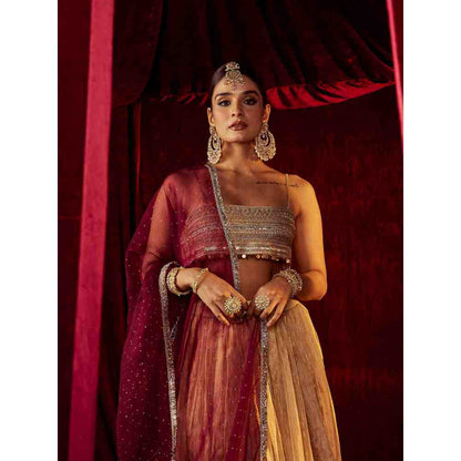 Roze Zeenat Gold Lehenga (Set of 3)