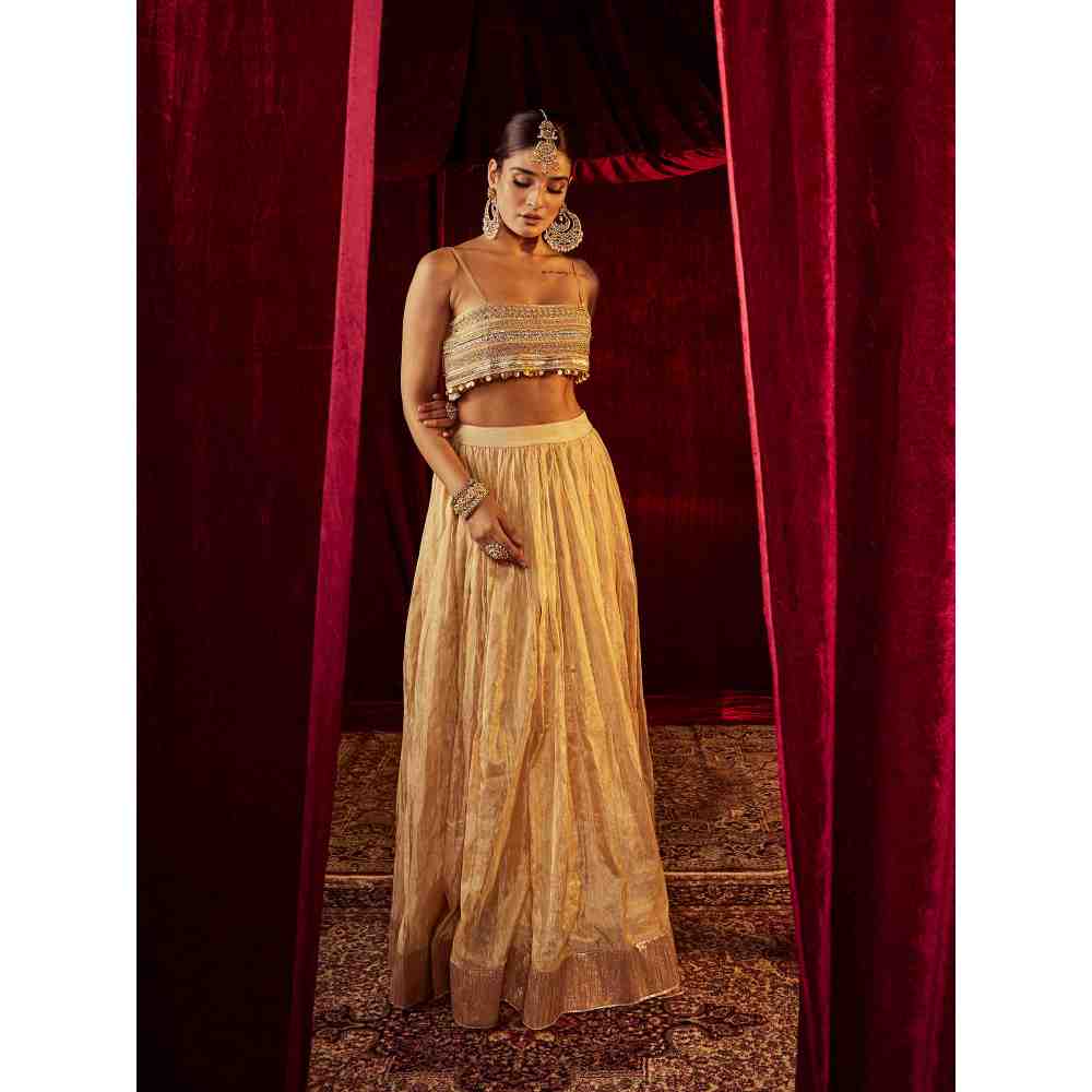 Roze Zeenat Gold Lehenga (Set of 3)