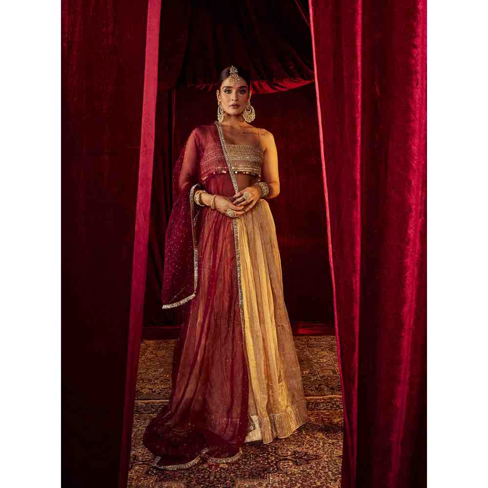 Roze Zeenat Gold Lehenga (Set of 3)