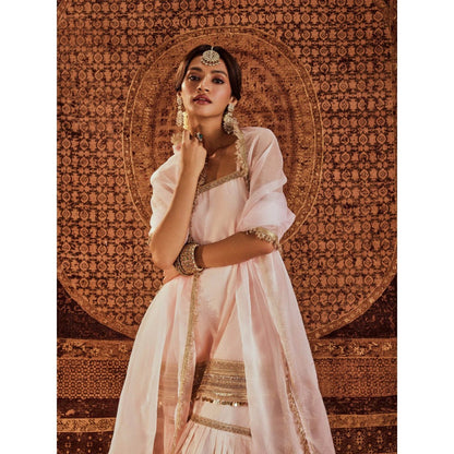 Roze Sultana Pink Dupatta