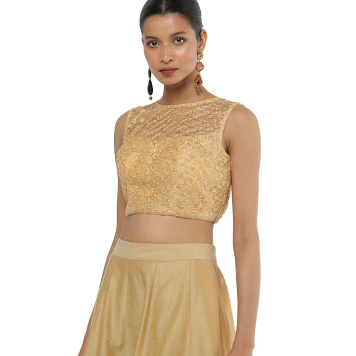 SALWAR STUDIO Women Gold Net Back Open Readymade Saree Blouse