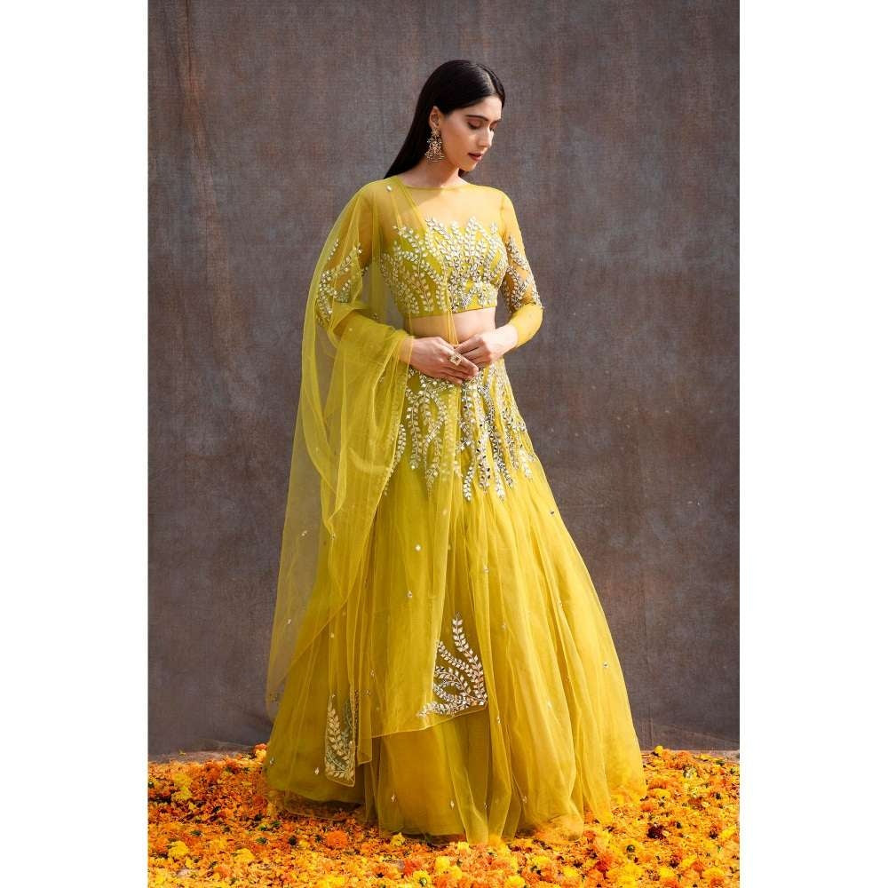 Silky Bindra Illusion Blouse Lehenga (Set of 3)