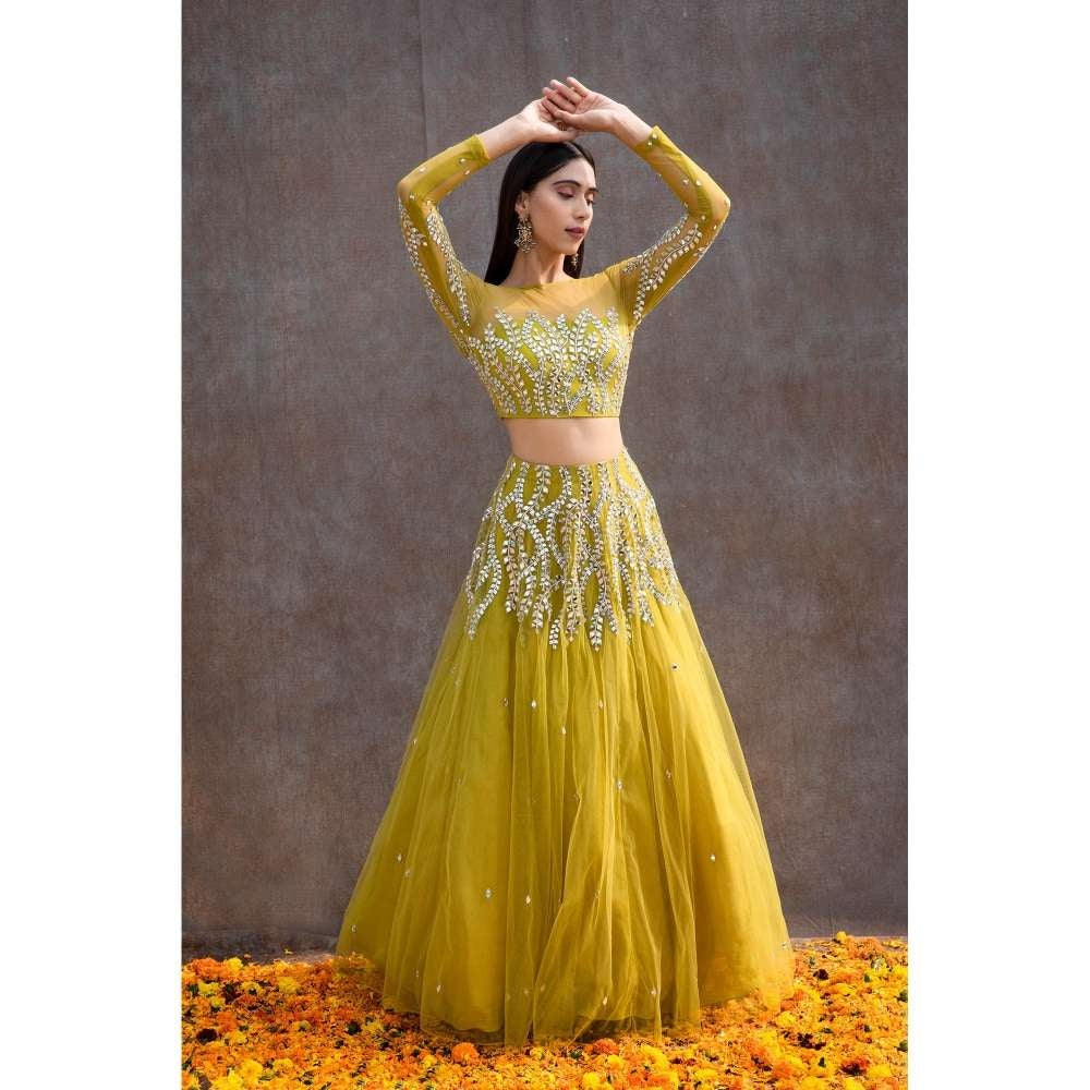 Silky Bindra Illusion Blouse Lehenga (Set of 3)