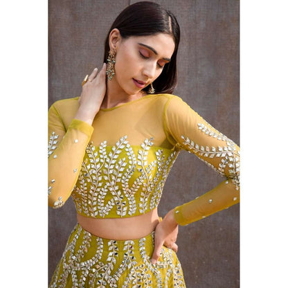 Silky Bindra Illusion Blouse Lehenga (Set of 3)