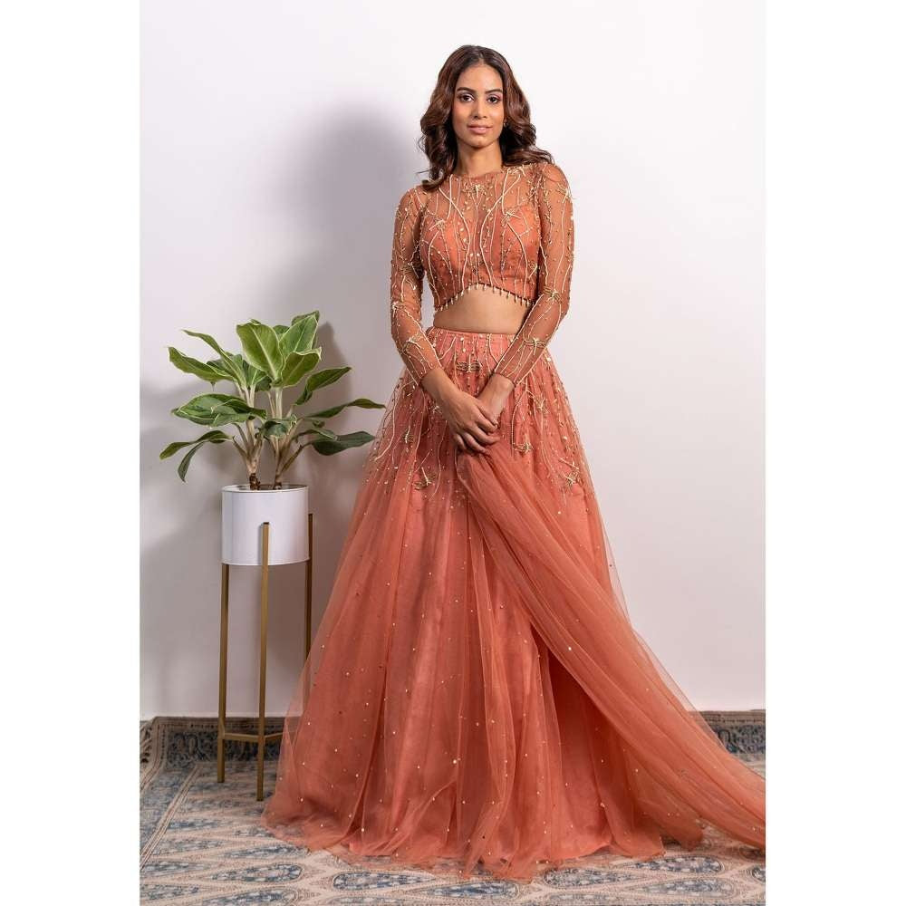 Silky Bindra V-Hem Blouse Lehenga (Set of 3)