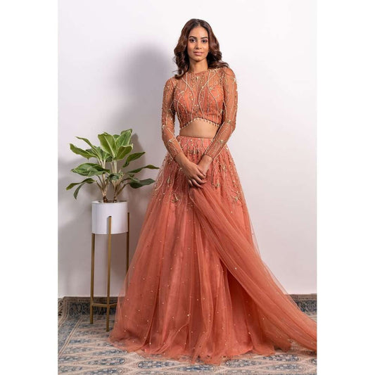 Silky Bindra V-Hem Blouse Lehenga (Set of 3)