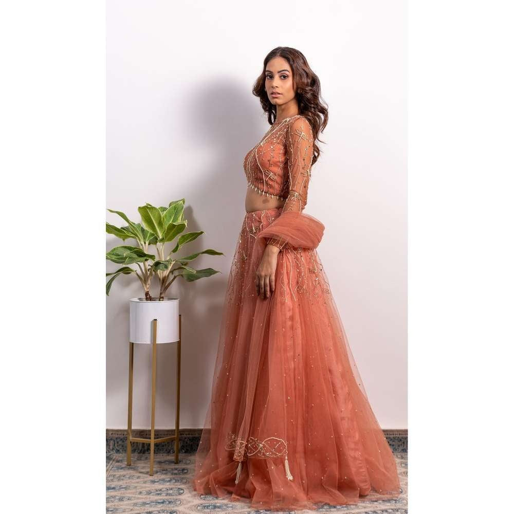 Silky Bindra V-Hem Blouse Lehenga (Set of 3)