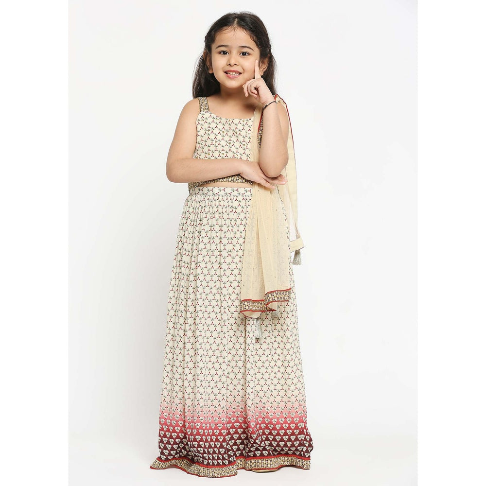 Soup by Sougat Paul Geometric Printed Lehenga Paired With Crop Top And Net Dupatta