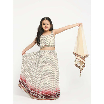 Soup by Sougat Paul Geometric Printed Lehenga Paired With Crop Top And Net Dupatta